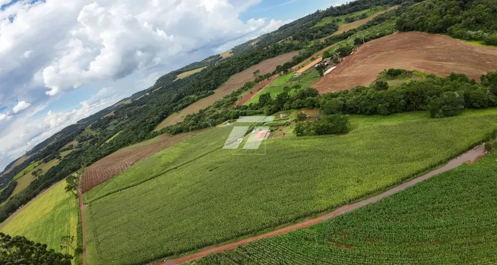 Sítio - Foto 5