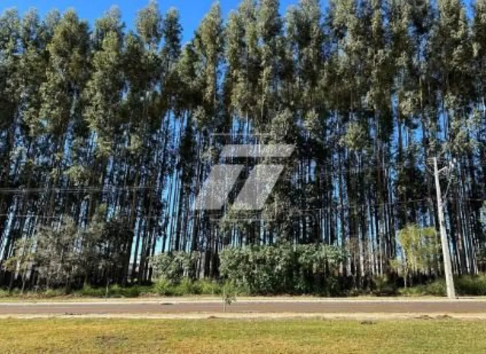 Casa - Foto 5