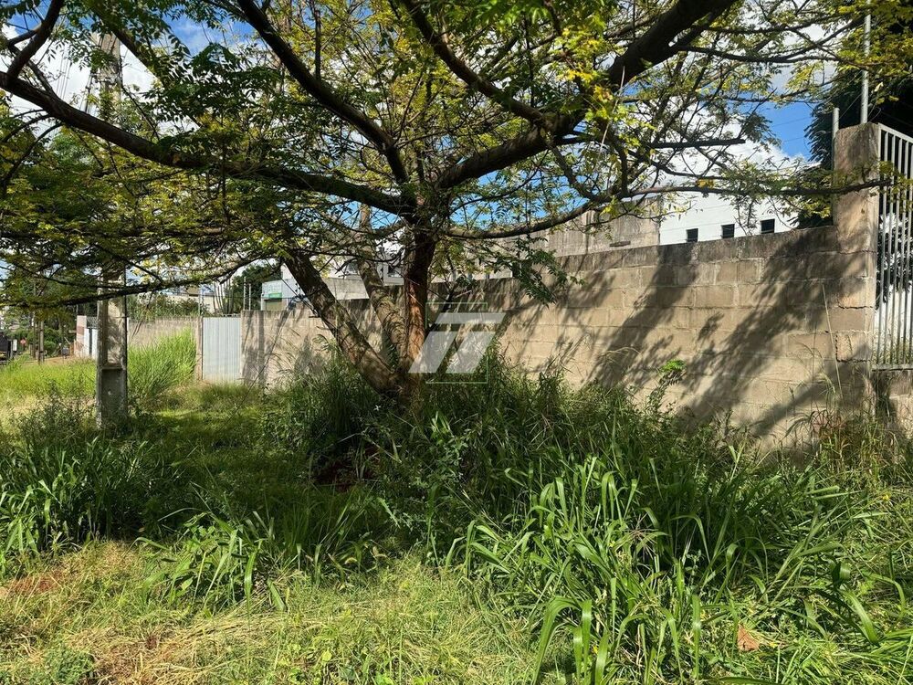 Loja-Salão - Foto 3