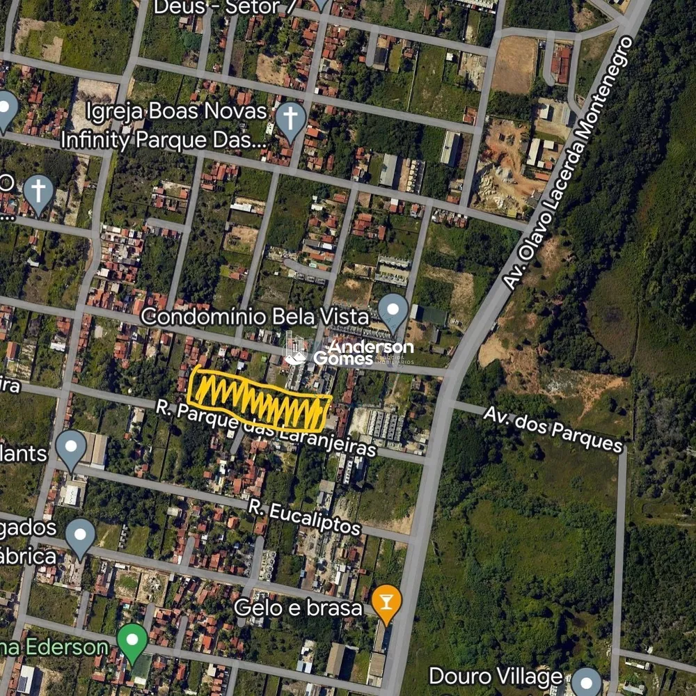 Terreno, 10000 m² - Foto 2