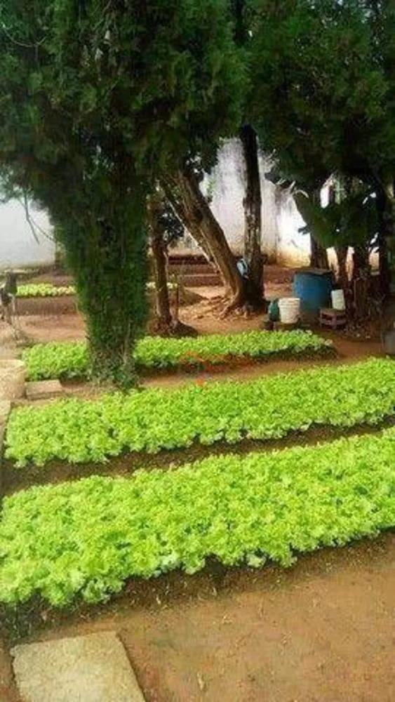 Chácara, 9 quartos, 1260 m² - Foto 17