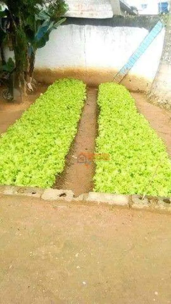 Chácara, 9 quartos, 1260 m² - Foto 16