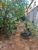Terreno, 125 m² - Foto 2