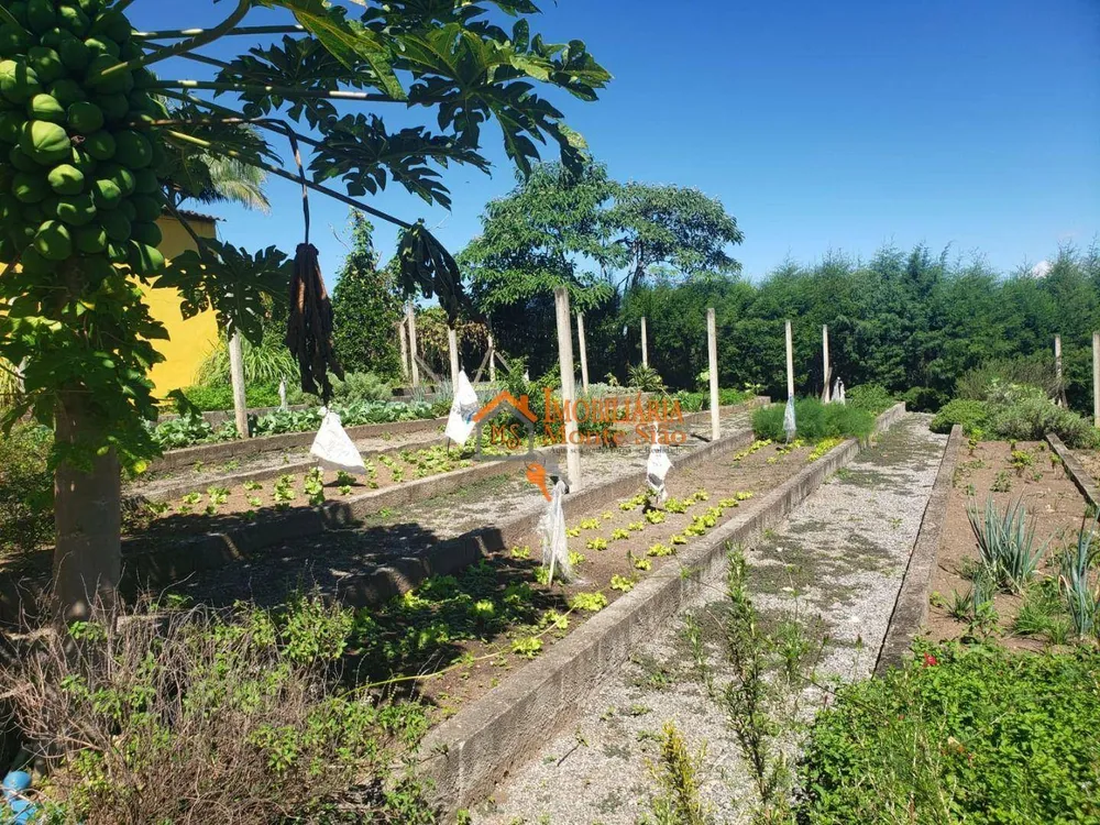 Sítio, 6 quartos, 4 hectares - Foto 4