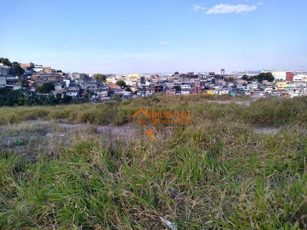Terreno, 4 hectares - Foto 3