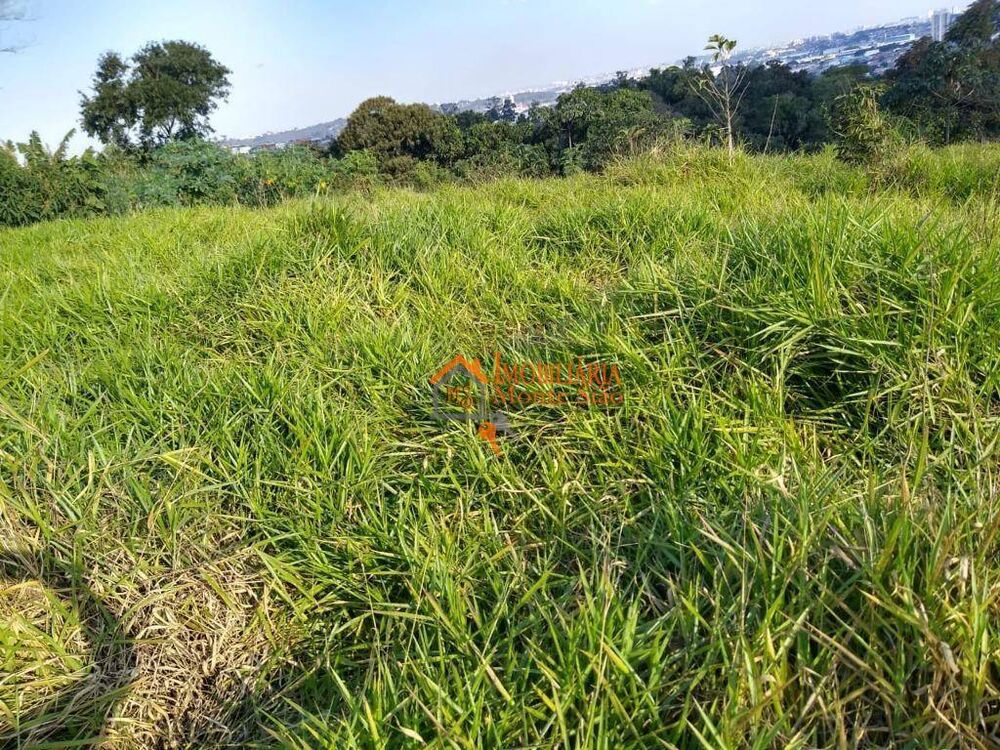 Terreno, 4 hectares - Foto 8