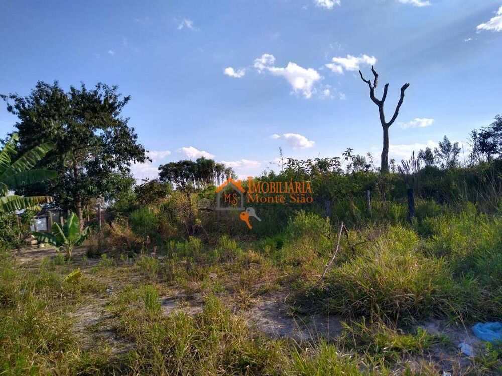 Terreno, 4 hectares - Foto 4