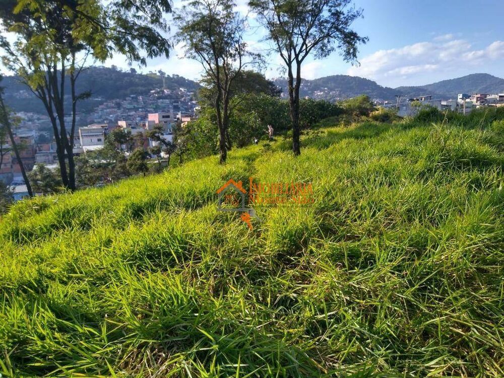 Terreno, 4 hectares - Foto 14