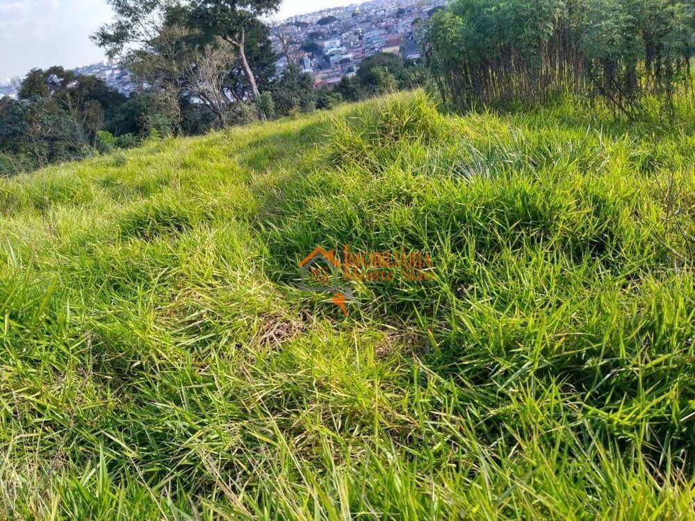 Terreno, 4 hectares - Foto 11