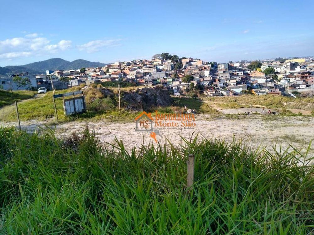 Terreno, 4 hectares - Foto 13