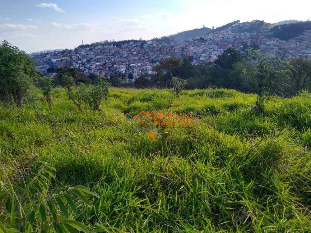 Terreno, 4 hectares - Foto 10