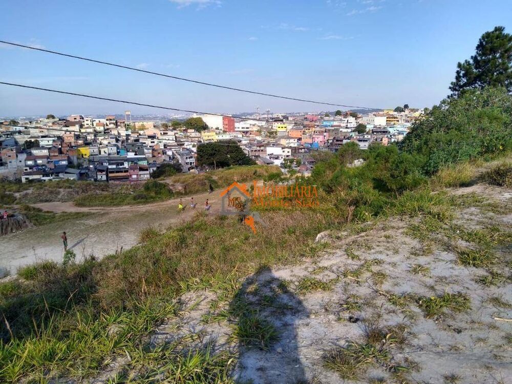 Terreno, 4 hectares - Foto 6