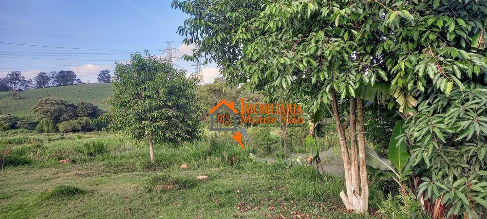 Terreno, 5 hectares - Foto 6