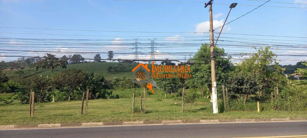 Terreno, 5 hectares - Foto 8