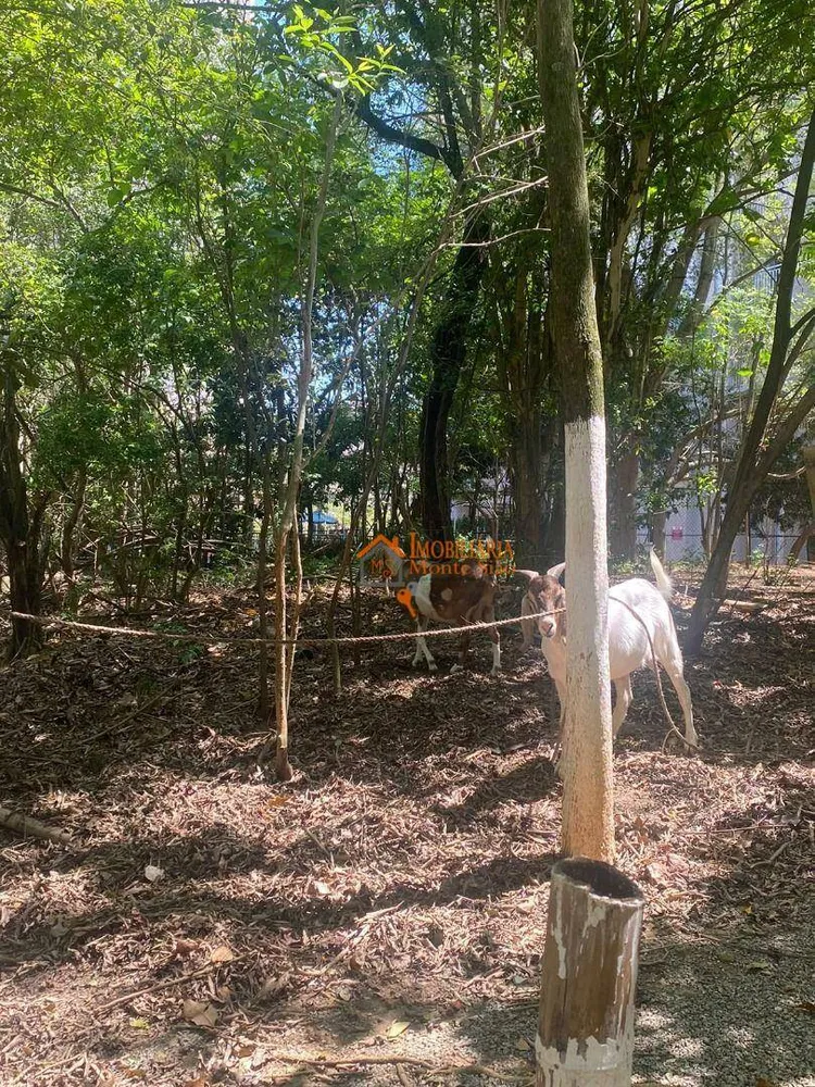 Apartamento, 2 quartos, 49 m² - Foto 1