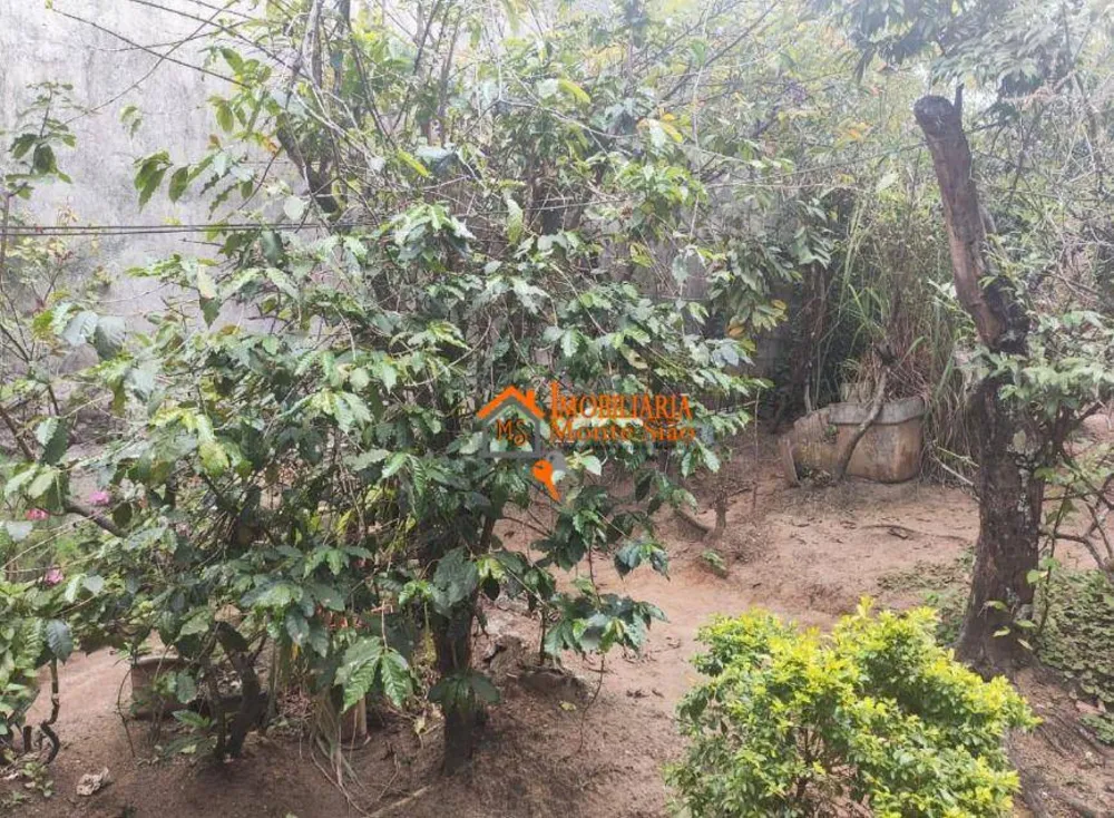 Terreno, 250 m² - Foto 7