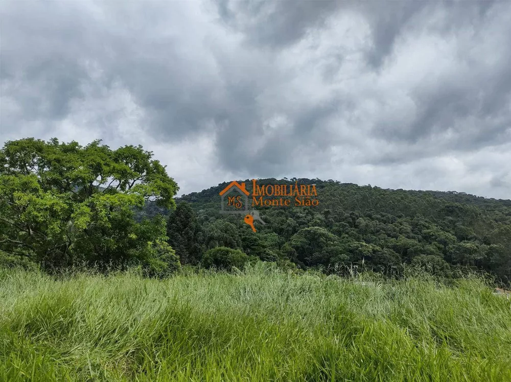 Terreno à venda, 1300M2 - Foto 1