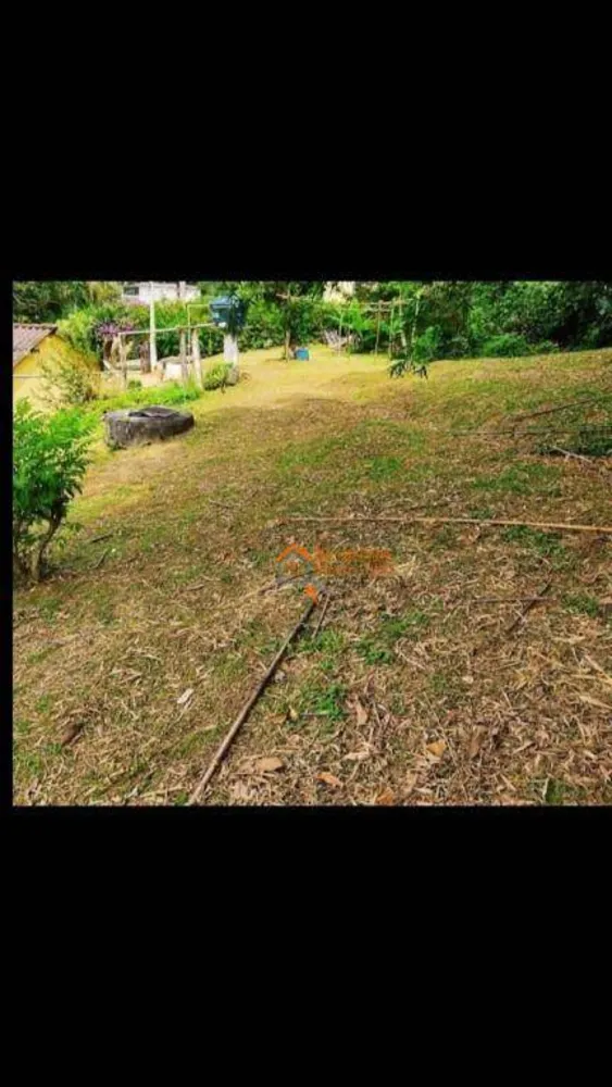 Terreno, 2 hectares - Foto 4