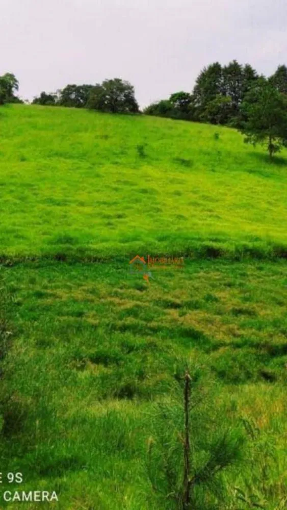 Terreno, 2 hectares - Foto 1
