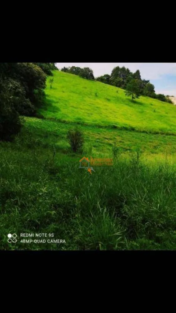 Terreno, 2 hectares - Foto 2