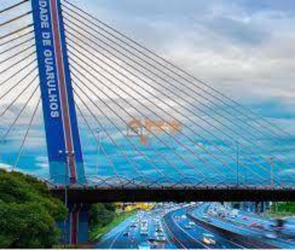 Casa, 7 quartos, 250 m² - Foto 10