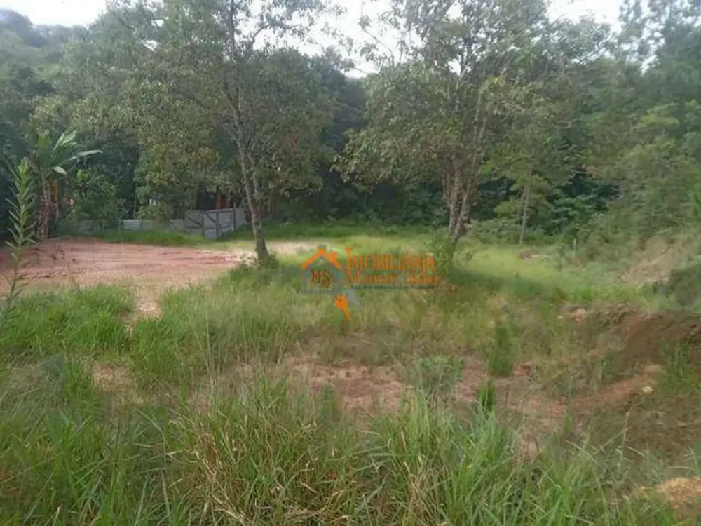 Terreno, 5000 m² - Foto 7