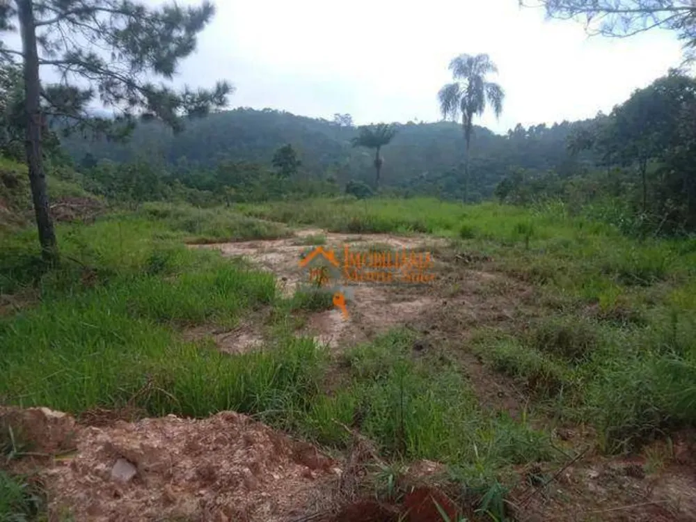 Terreno, 5000 m² - Foto 5