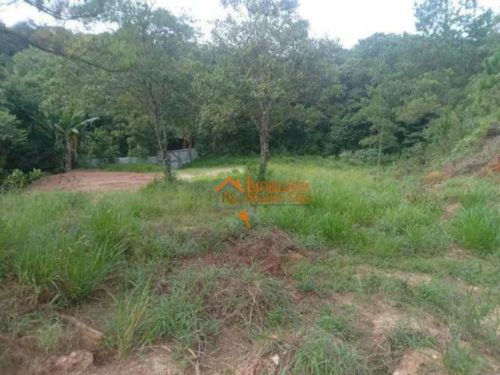 Terreno, 5000 m² - Foto 2