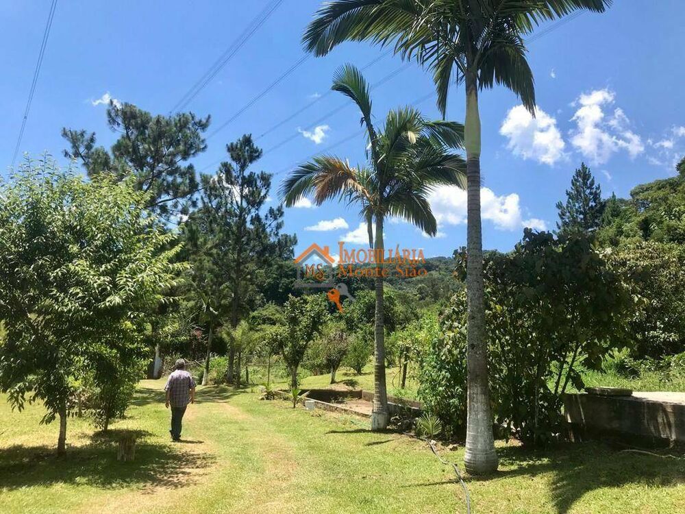 Sítio, 8 quartos, 8 hectares - Foto 14