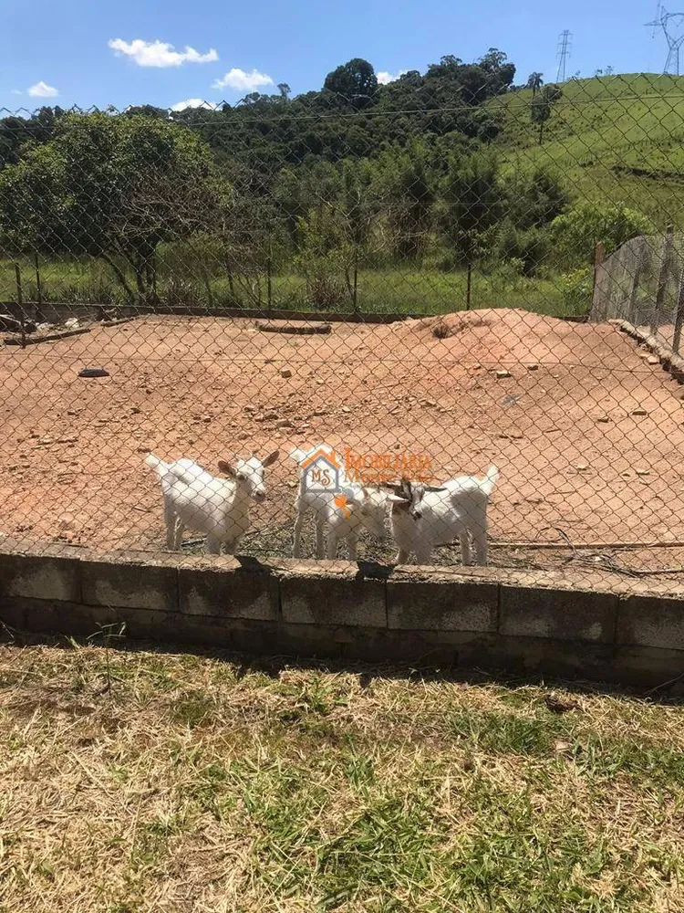 Sítio, 8 quartos, 8 hectares - Foto 16