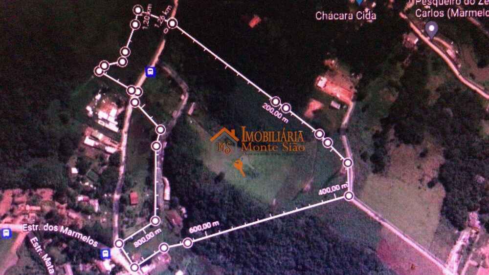 Sítio, 8 quartos, 8 hectares - Foto 20