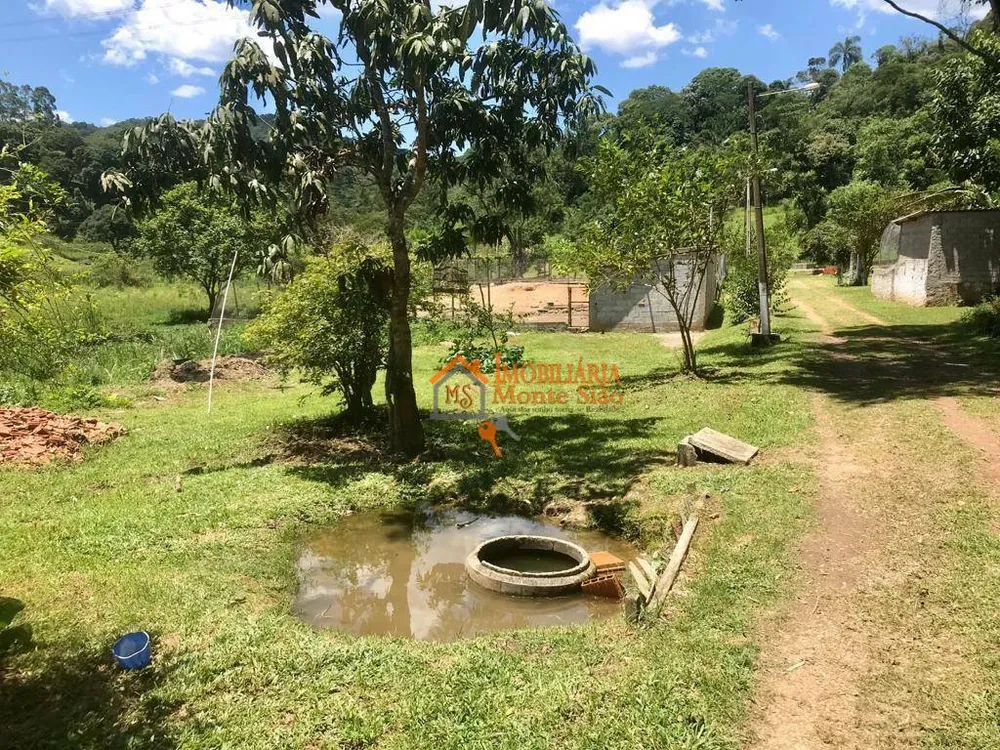 Sítio, 8 quartos, 8 hectares - Foto 19