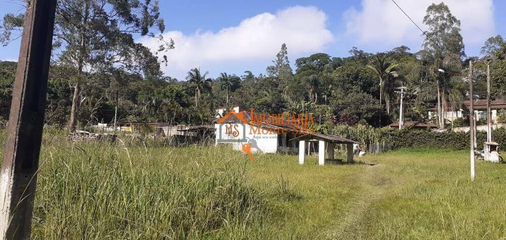 Sítio, 8 quartos, 8 hectares - Foto 3