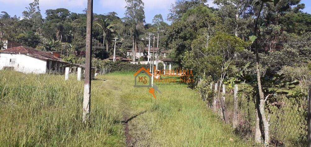 Sítio, 8 quartos, 8 hectares - Foto 4