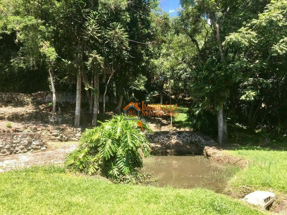 Sítio, 8 quartos, 8 hectares - Foto 16