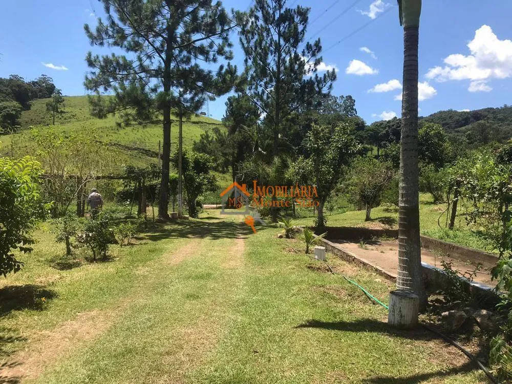 Sítio, 8 quartos, 8 hectares - Foto 20