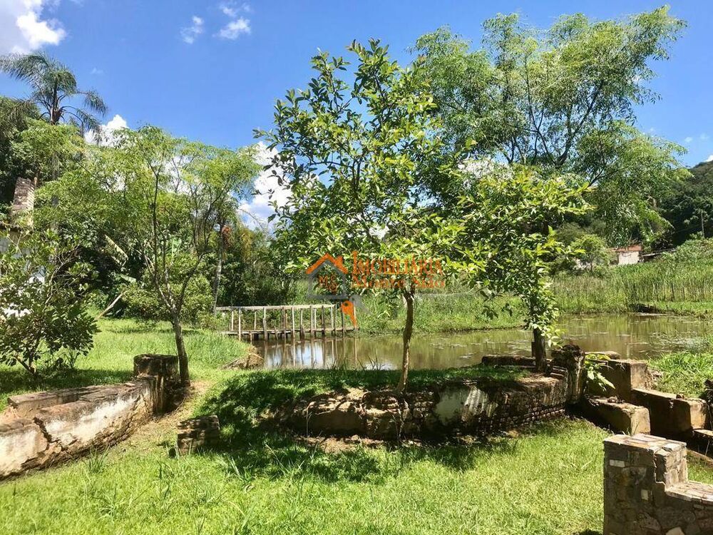 Sítio, 8 quartos, 8 hectares - Foto 18