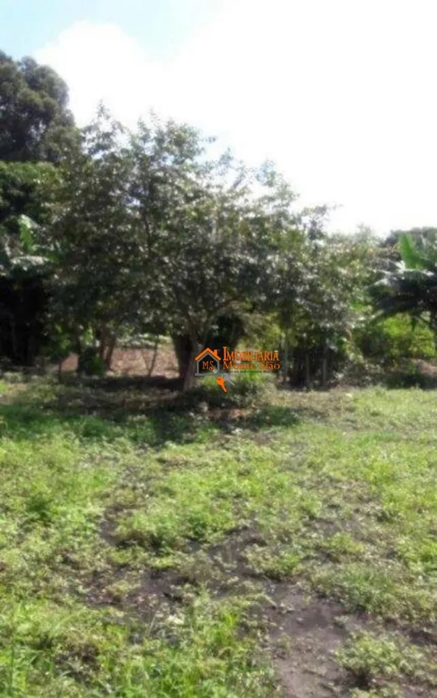 Terreno, 6000 m² - Foto 12