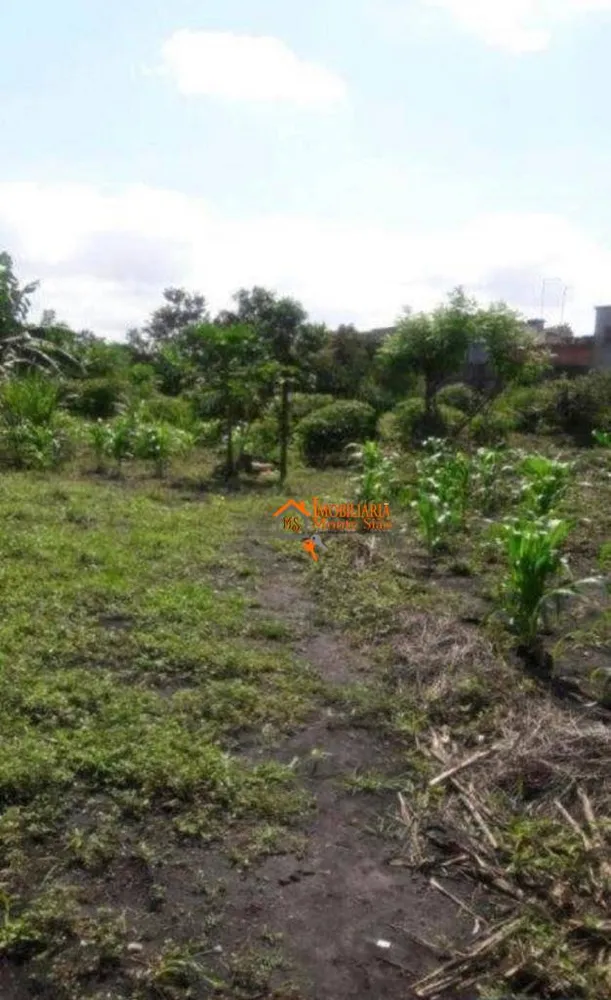 Terreno, 6000 m² - Foto 11