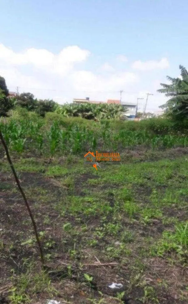 Terreno, 6000 m² - Foto 10