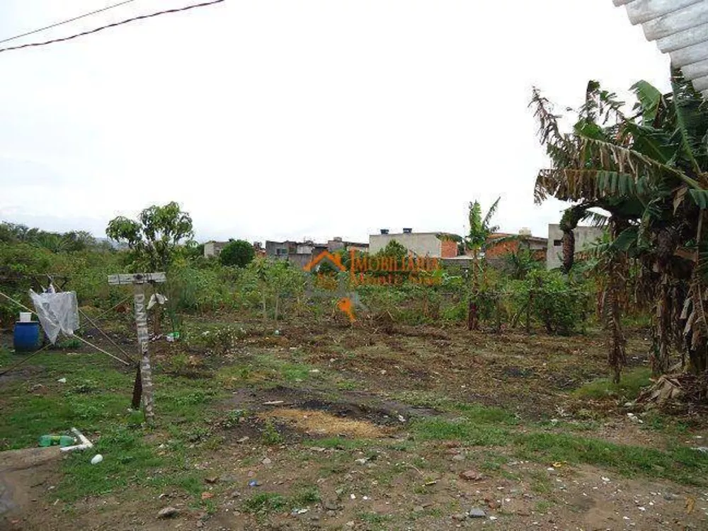 Terreno à venda e aluguel, 6000M2 - Foto 3