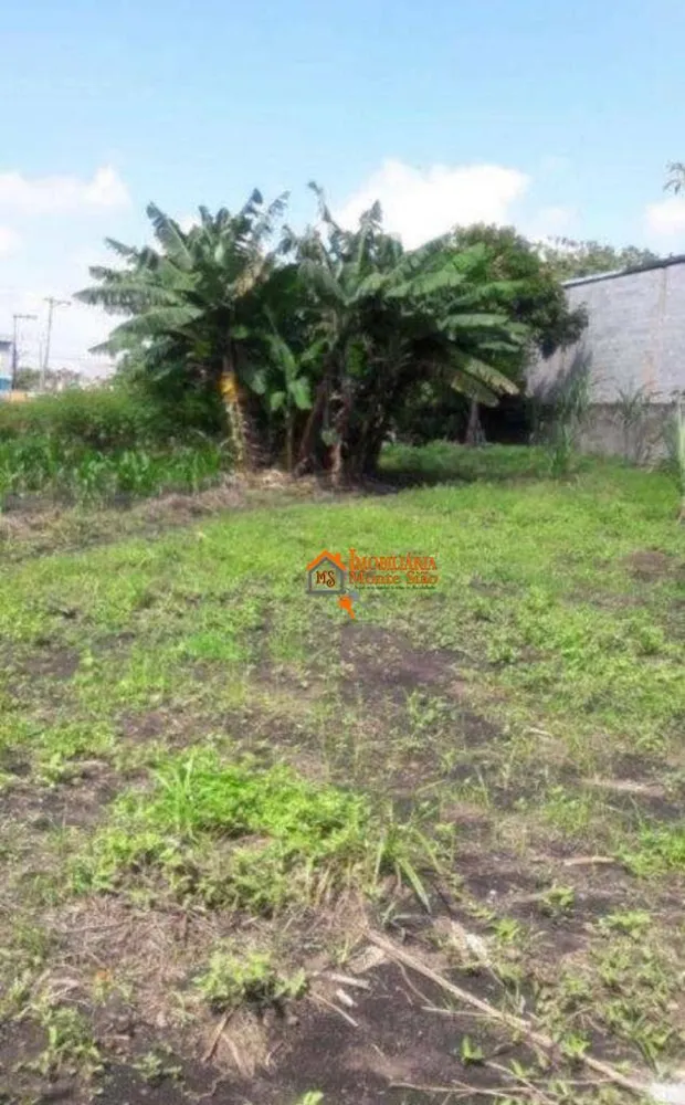Terreno, 6000 m² - Foto 9