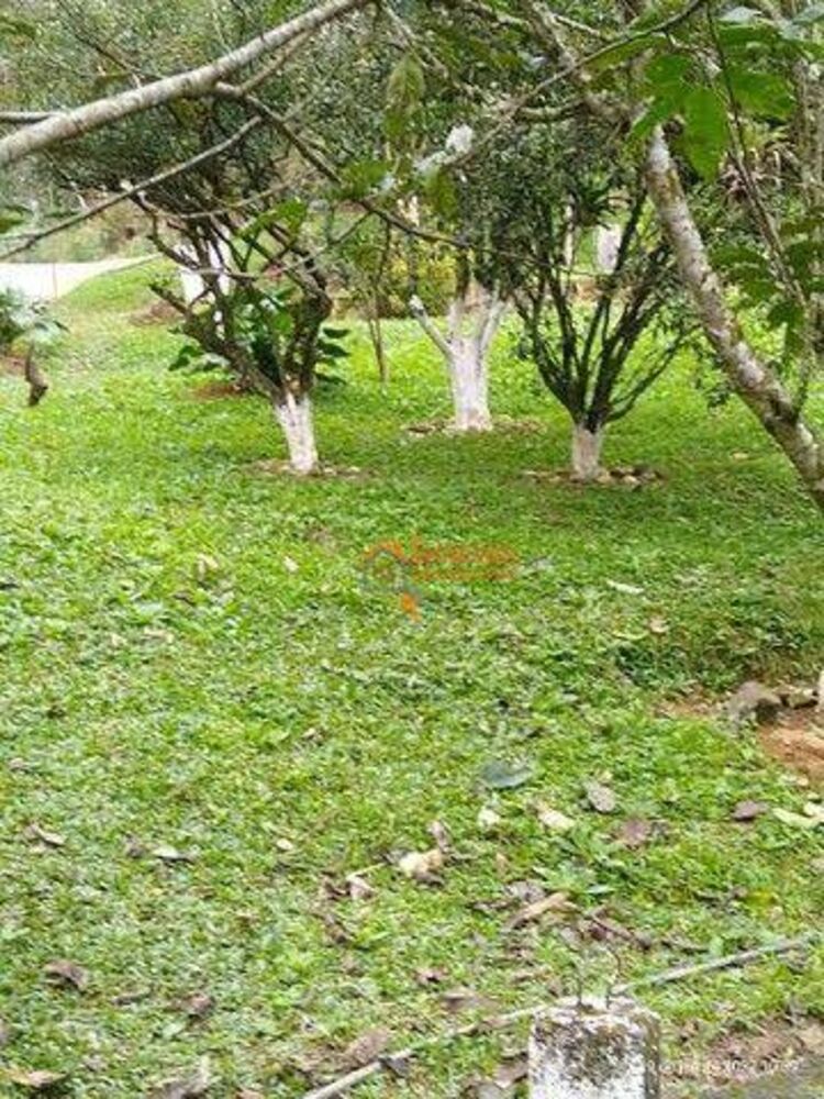 Sítio, 5 quartos, 5300 m² - Foto 4