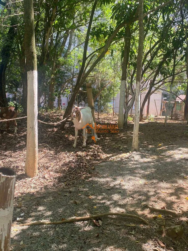 Apartamento, 3 quartos, 63 m² - Foto 8