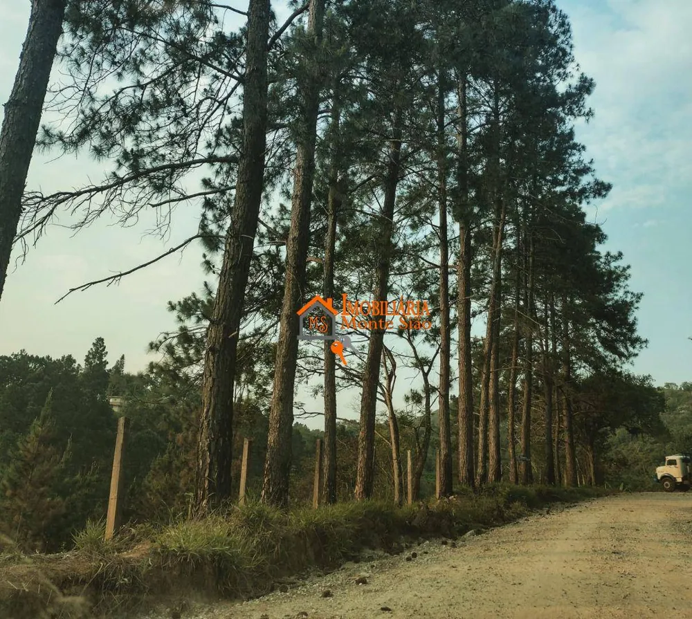 Terreno, 1000 m² - Foto 8