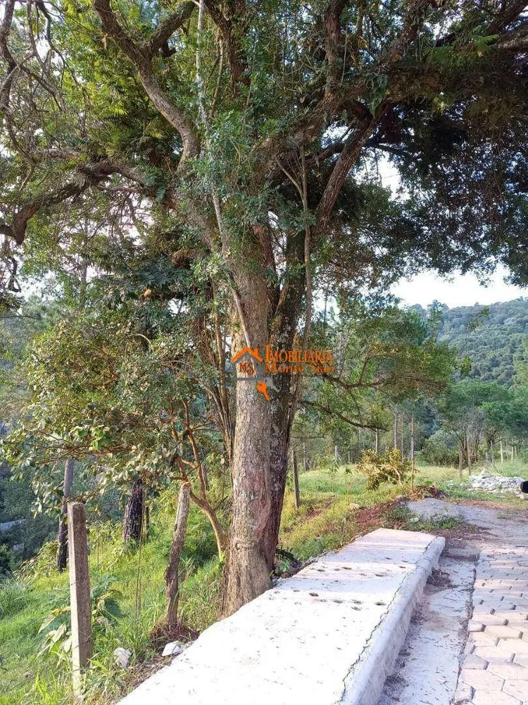 Terreno, 1000 m² - Foto 11