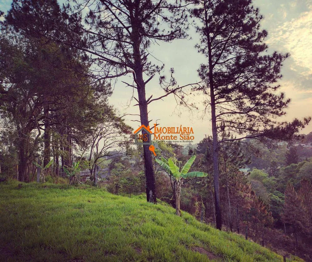 Terreno, 1000 m² - Foto 7