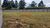 Terreno, 1 hectares - Foto 11