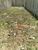 Terreno, 100 m² - Foto 9