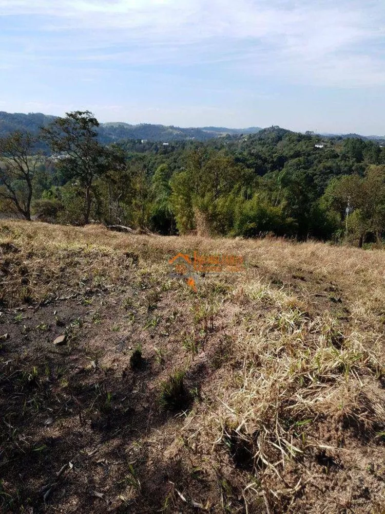 Terreno à venda, 2600M2 - Foto 3